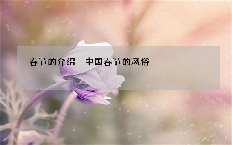 春节的介绍 中国春节的风俗